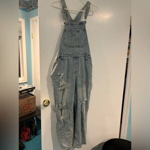 Wild Fable Overalls